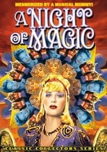 Poster de la película A Night of Magic