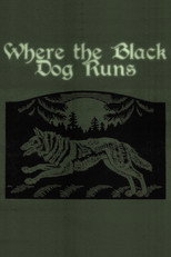Poster de la película Where the Black Dog Runs