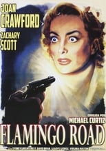 Poster de la película Flamingo Road