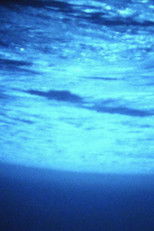 Poster de la película The Dark Room