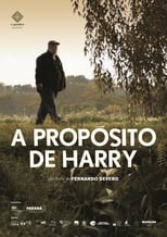 Poster de la película A Propósito de Harry