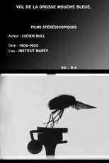 Poster de la película Flight of the Large Blue Fly