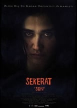 Poster de la película Sekerat Son
