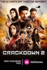 Poster de la serie Crackdown