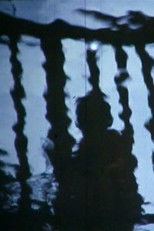 Poster de la película Bridge