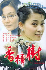 Poster de la serie 香樟树