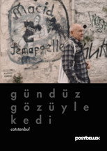 Poster de la película Catstanbul