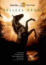 Poster de la película Belleza negra (Un caballo llamado Furia)