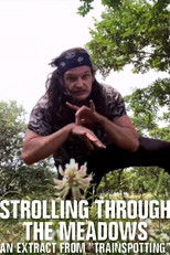 Poster de la película Strolling Through the Meadows