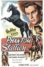 Poster de la película Phantom Stallion