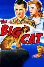 Poster de la película The Big Cat