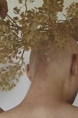 Poster de la película Headstrong