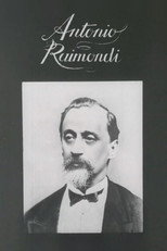 Poster de la película Antonio Raimondi