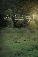 Poster de la película Tiny Light