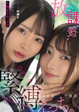 Poster de la película Houkago, himitsu no kinbaku ecchi. Tada no doukyuusei datta watashitachi ga SM rezu sekkusu ni oboreru made…