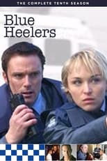 Blue Heelers