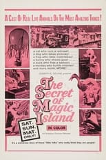 Poster de la película The Secret of Magic Island