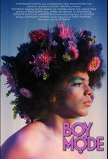 Poster de la película Boy Mode