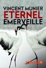 Poster de la película Vincent Munier, éternel émerveillé