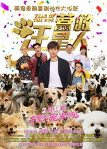 Poster de la película The Big Rescue