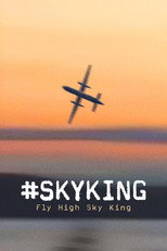 Poster de la película #SKYKING