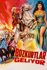 Poster de la película Bozkurtlar Geliyor
