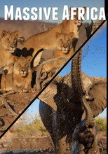 Poster de la serie Massive Africa