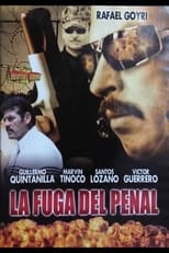 Poster de la película La Fuga del Penal