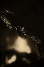 Poster de la película Entretejidos