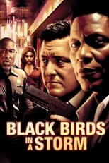 Poster de la película Black Birds in a Storm