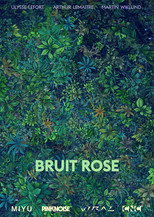 Poster de la película Bruit Rose