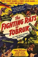 Poster de la película The Rats of Tobruk