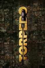 Poster de la película Torpedo