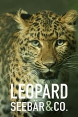 Poster de la serie Leopard, Seebär & Co.