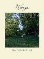Poster de la película Wings