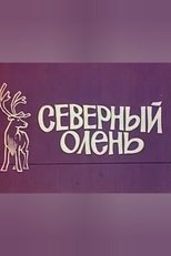 Poster de la película Reindeer
