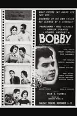 Poster de la película Bobby