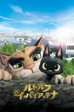 Poster de la película Rudolf the Black Cat
