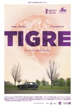 Poster de la película Tiger