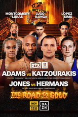 Poster de la película Brandon Adams vs. Andreas Katzourakis