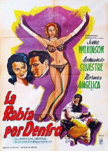 Poster de la película La rabia por dentro