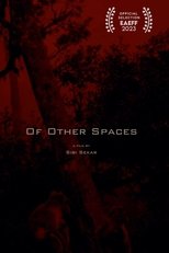 Poster de la película Of Other Spaces