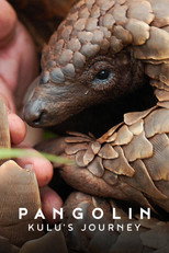 Poster de la película Pangolin: Kulu's Journey