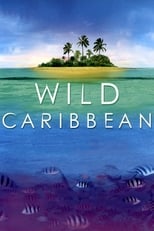 Poster de la película Wild Caribbean