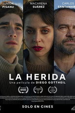 Poster de la película The Wound