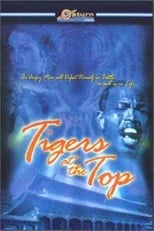 Poster de la película Tigers at Top