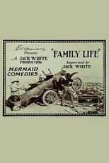 Poster de la película Family Life