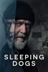 Poster de la película Sleeping Dogs