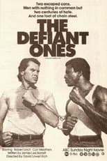 Poster de la película The Defiant Ones