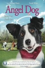 Poster de la película Angel Dog